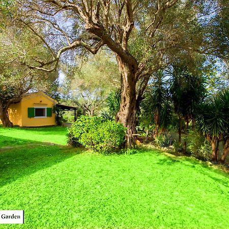 דירות Ágios Ioánnis House In The Olive Garden מראה חיצוני תמונה