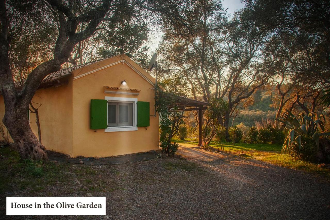 דירות Ágios Ioánnis House In The Olive Garden מראה חיצוני תמונה