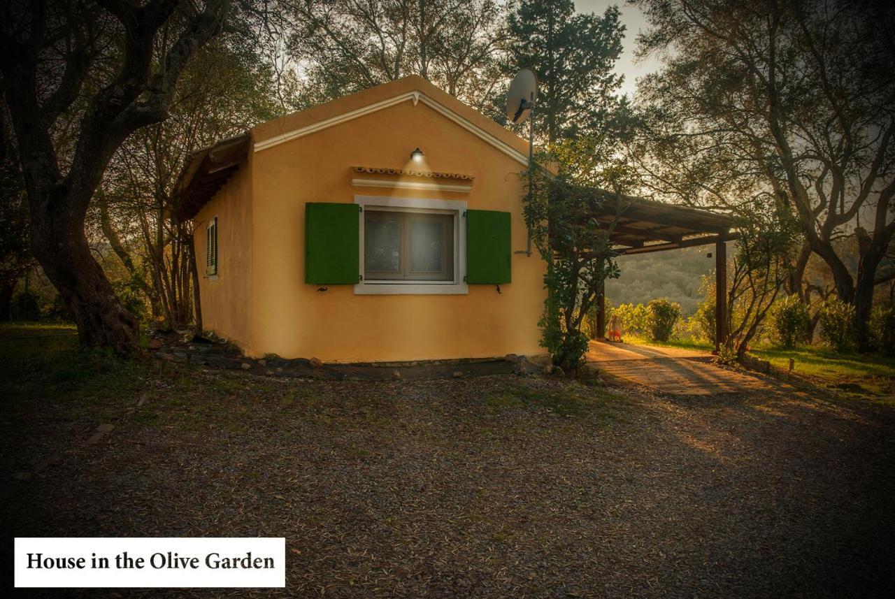 דירות Ágios Ioánnis House In The Olive Garden מראה חיצוני תמונה