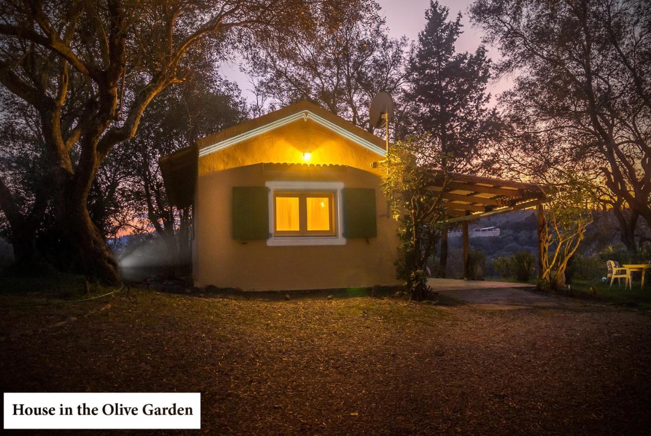 דירות Ágios Ioánnis House In The Olive Garden מראה חיצוני תמונה