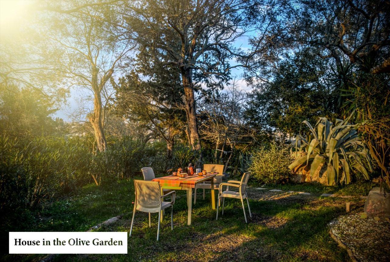 דירות Ágios Ioánnis House In The Olive Garden מראה חיצוני תמונה