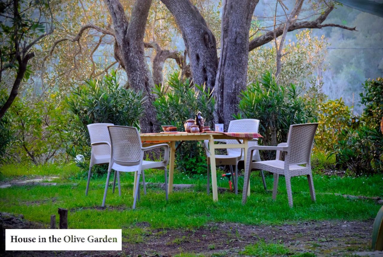 דירות Ágios Ioánnis House In The Olive Garden מראה חיצוני תמונה