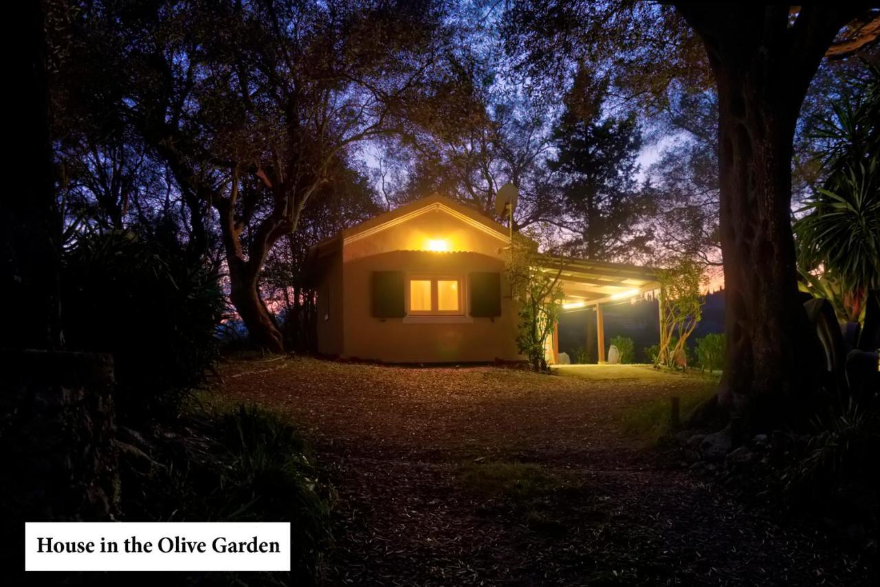דירות Ágios Ioánnis House In The Olive Garden מראה חיצוני תמונה