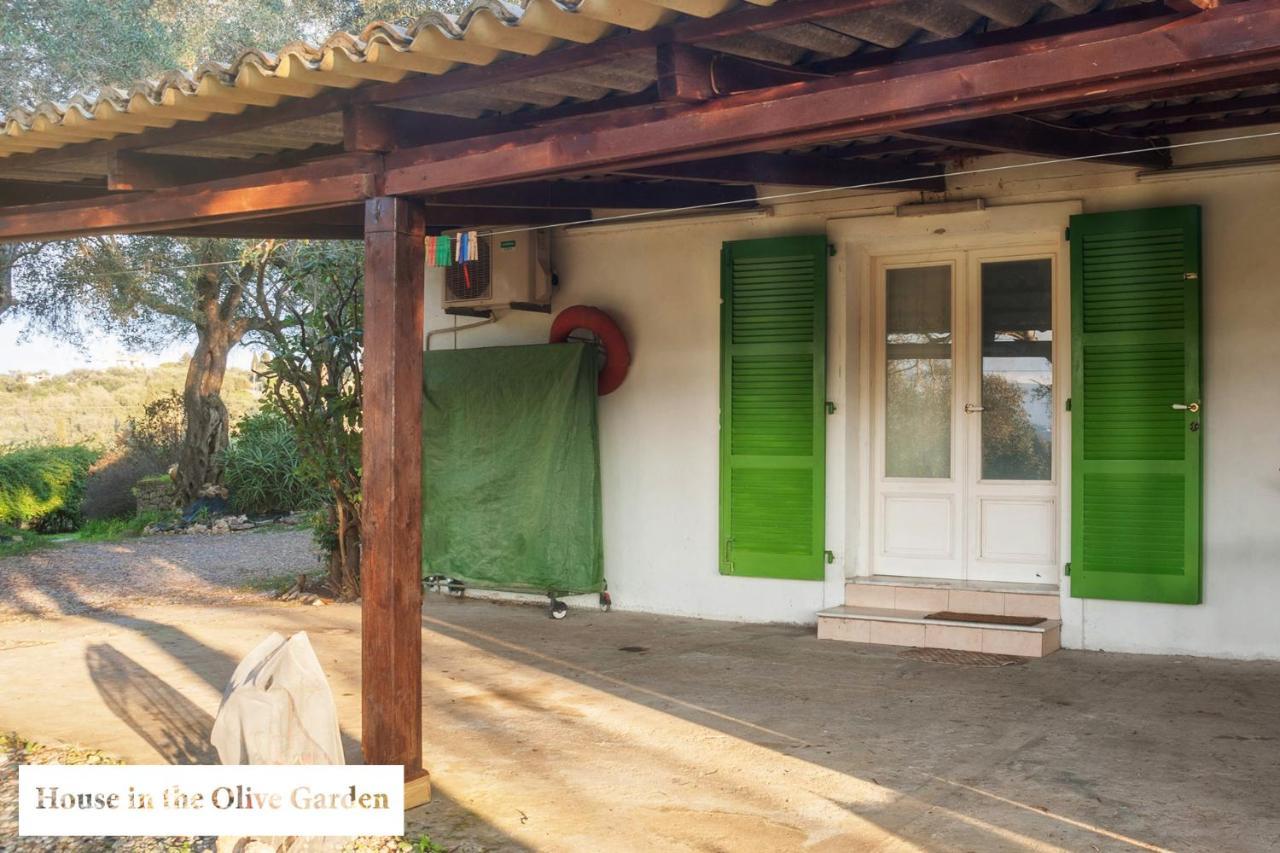 דירות Ágios Ioánnis House In The Olive Garden מראה חיצוני תמונה