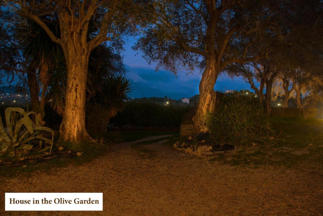 דירות Ágios Ioánnis House In The Olive Garden מראה חיצוני תמונה
