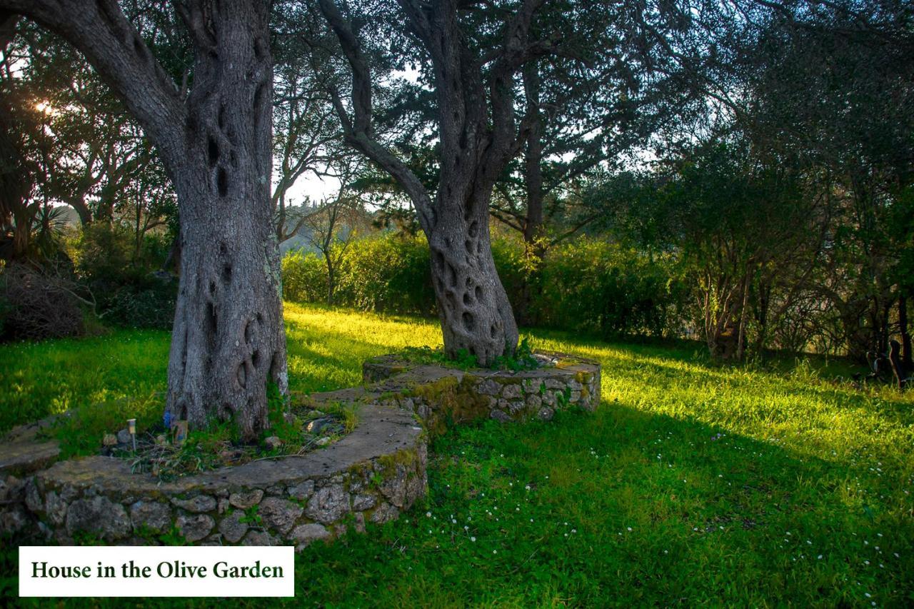 דירות Ágios Ioánnis House In The Olive Garden מראה חיצוני תמונה