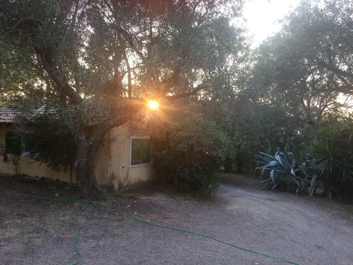 דירות Ágios Ioánnis House In The Olive Garden מראה חיצוני תמונה