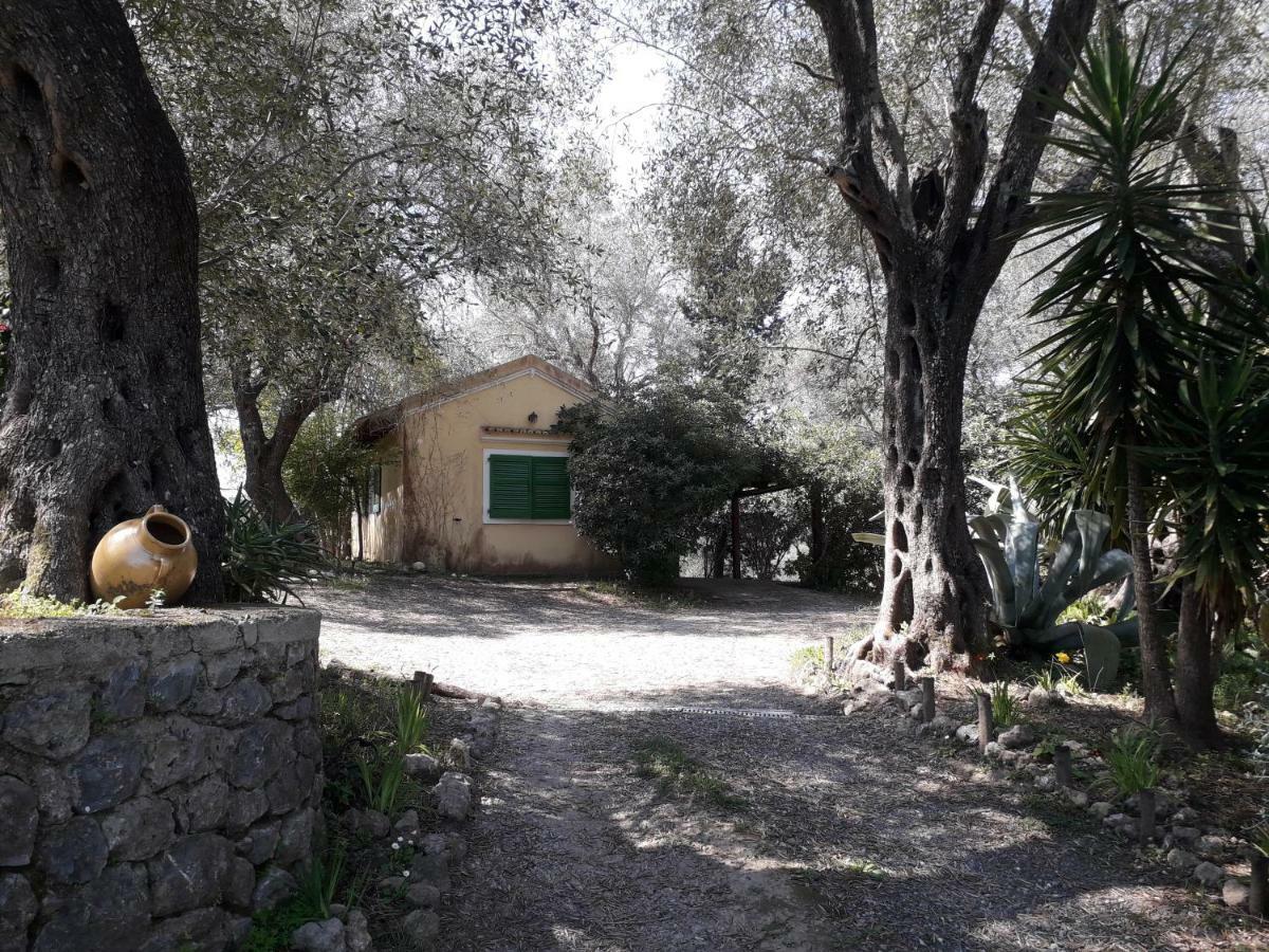 דירות Ágios Ioánnis House In The Olive Garden מראה חיצוני תמונה