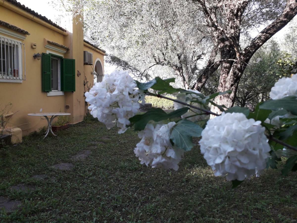 דירות Ágios Ioánnis House In The Olive Garden מראה חיצוני תמונה