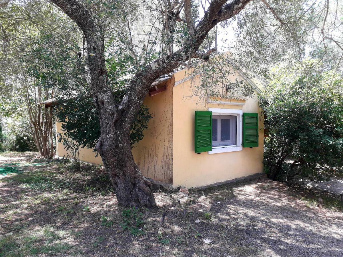 דירות Ágios Ioánnis House In The Olive Garden מראה חיצוני תמונה