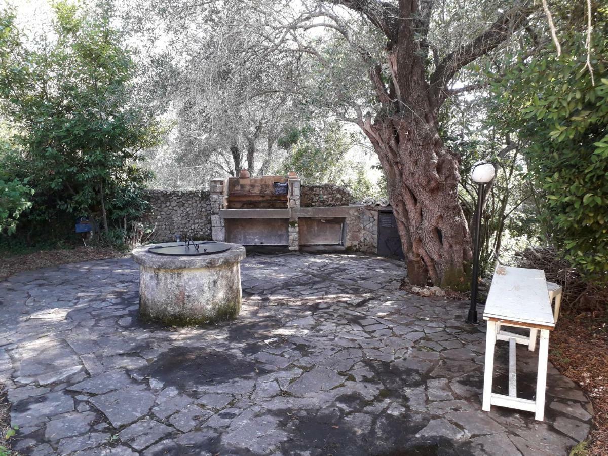 דירות Ágios Ioánnis House In The Olive Garden מראה חיצוני תמונה