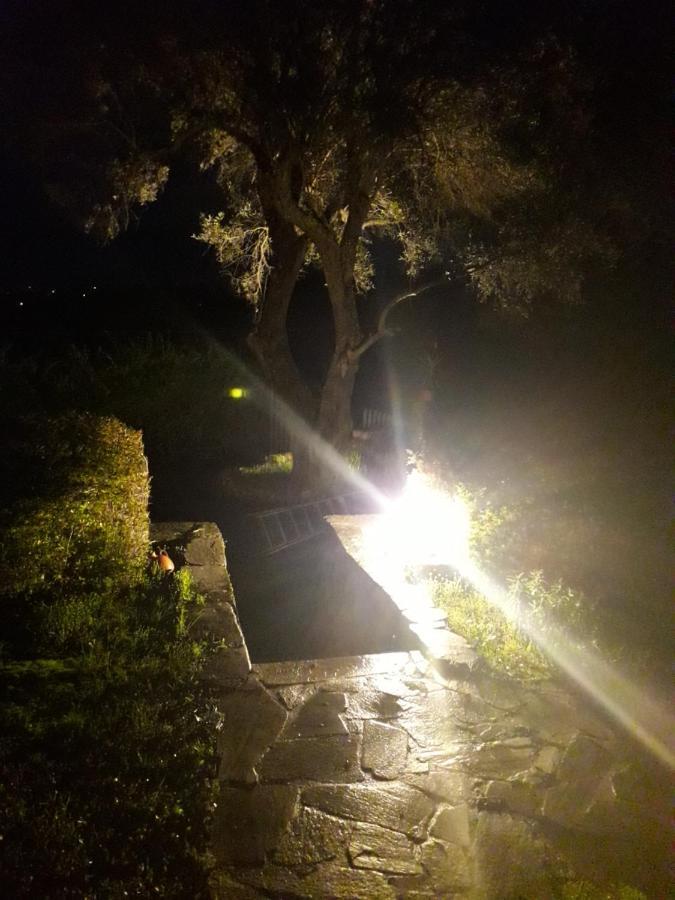 דירות Ágios Ioánnis House In The Olive Garden מראה חיצוני תמונה