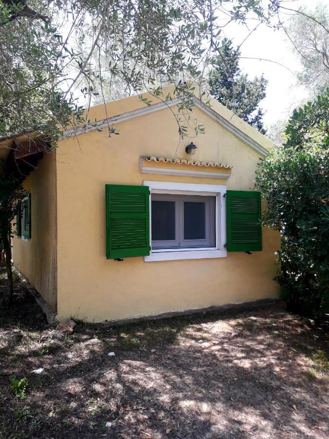 דירות Ágios Ioánnis House In The Olive Garden מראה חיצוני תמונה